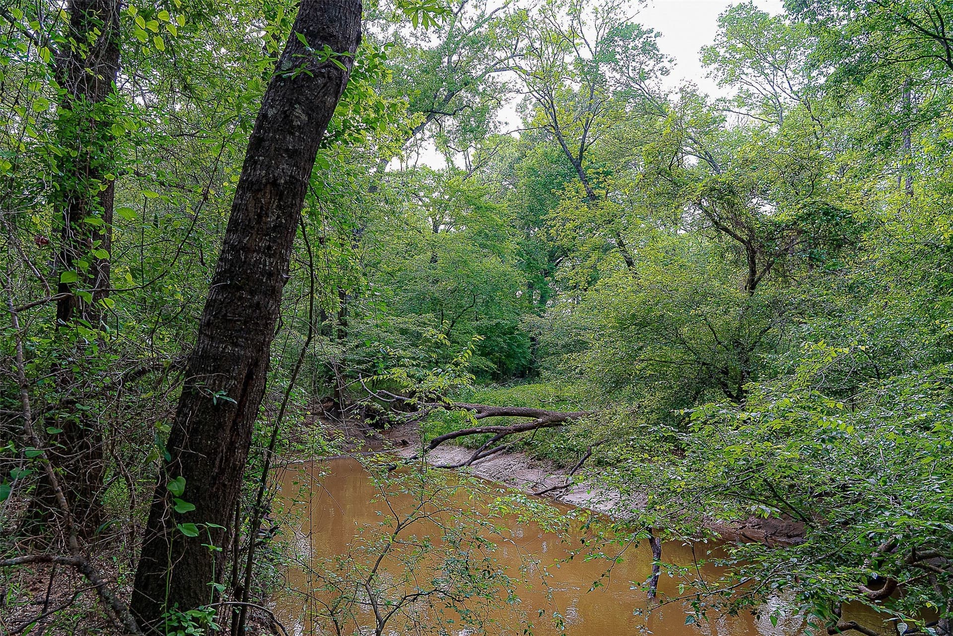 245.6 acres in Cherokee County - photo 33
