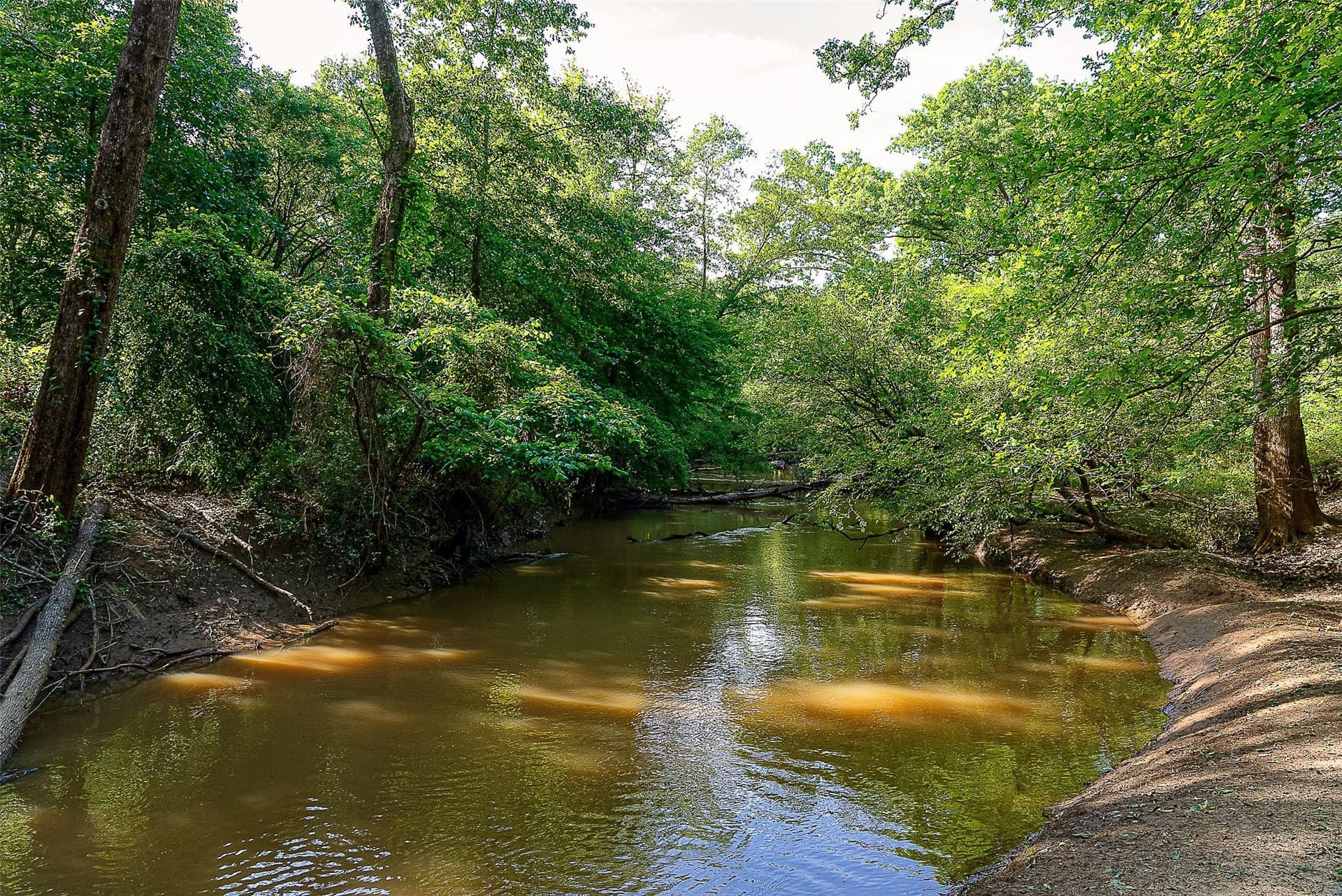 245.6 acres in Cherokee County - photo 10