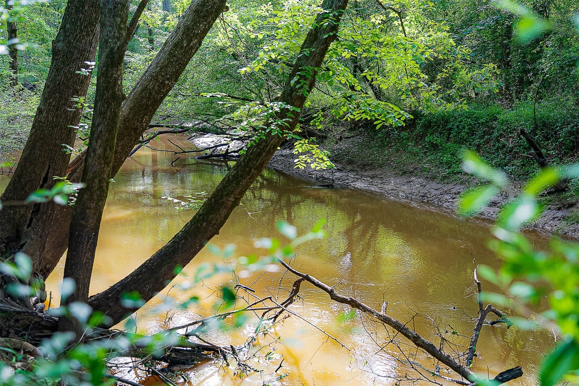 245.6 acres in Cherokee County - photo 37
