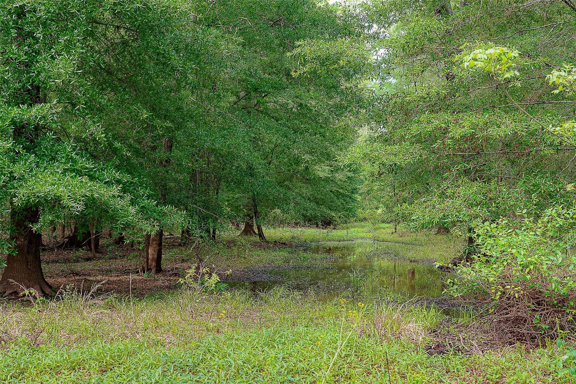 245.6 acres in Cherokee County - photo 11