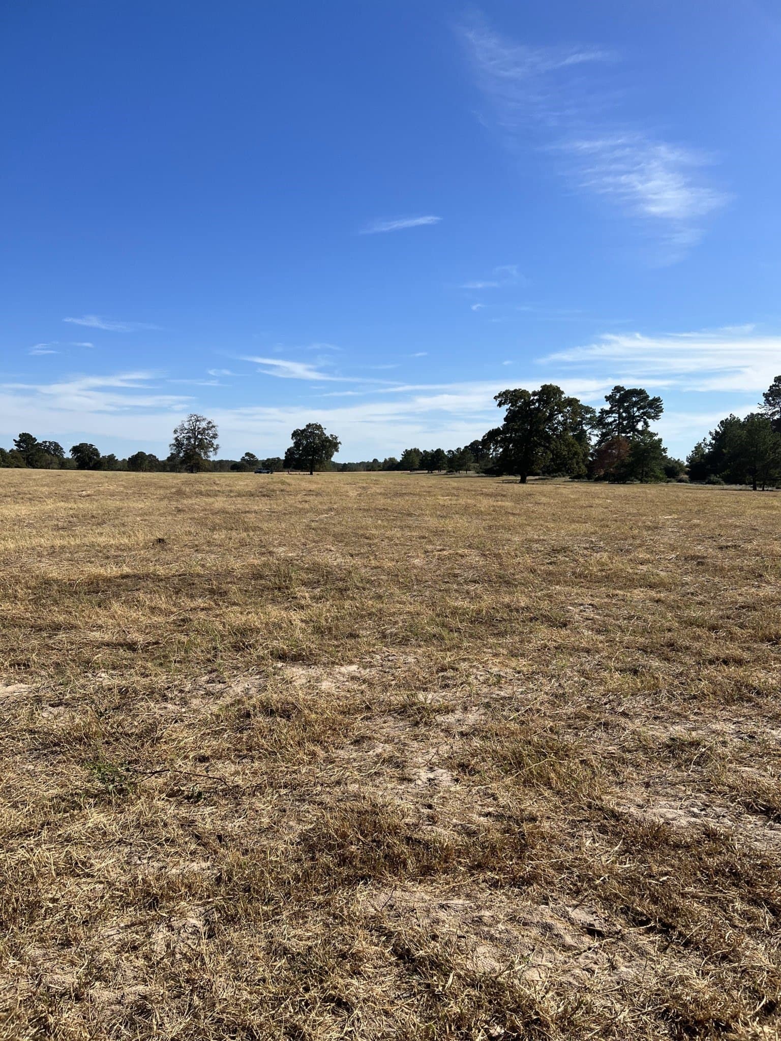 10.01 acres in Leon County - photo 10