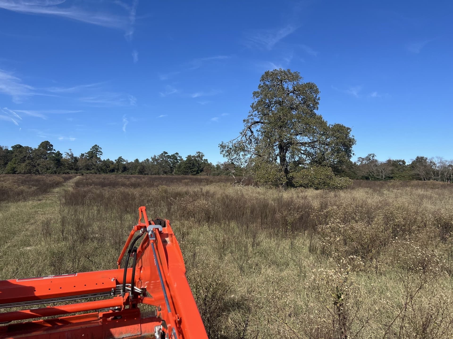 10.01 acres in Leon County gallery image 2