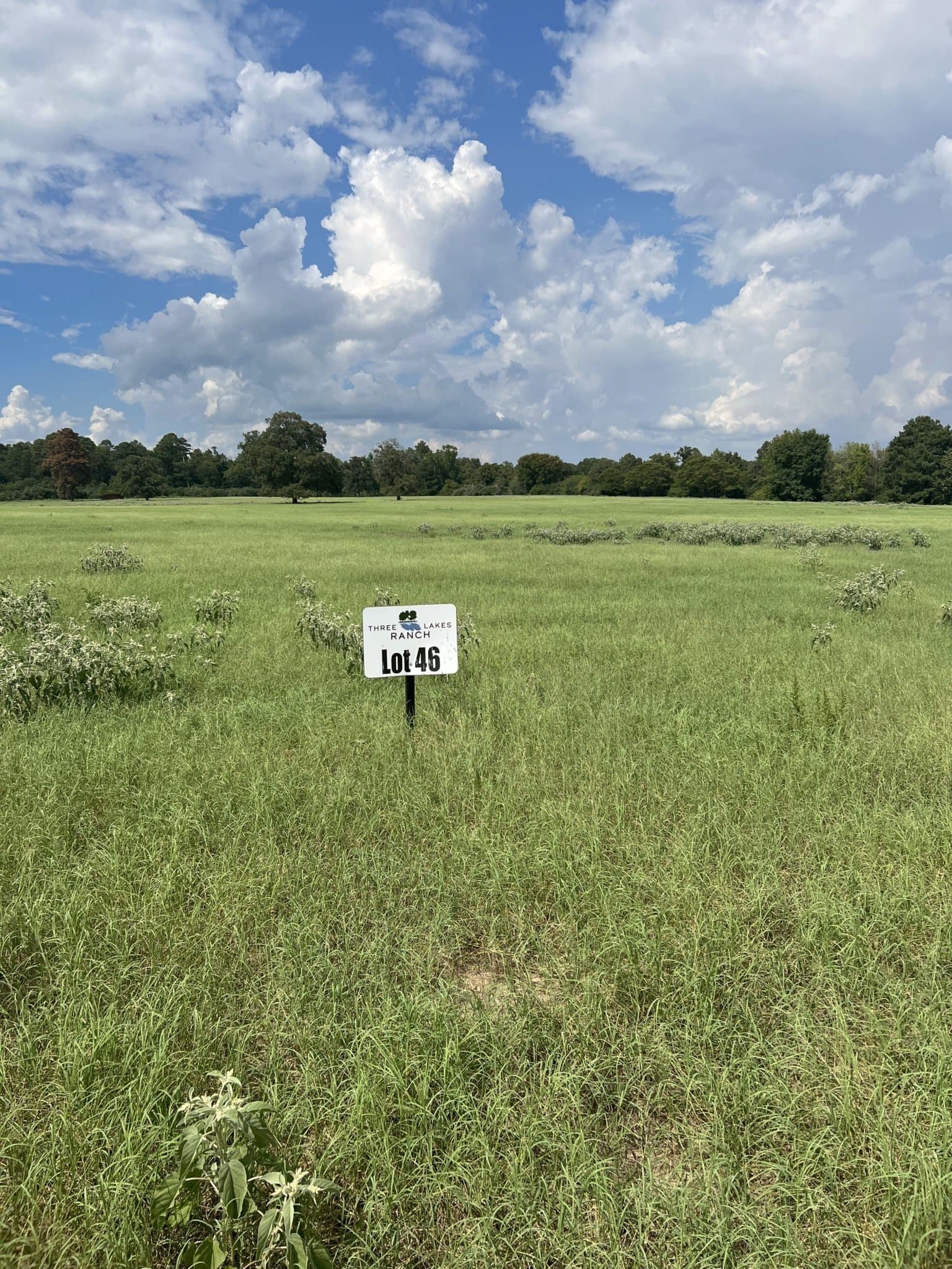 10.01 acres in Leon County - photo 11