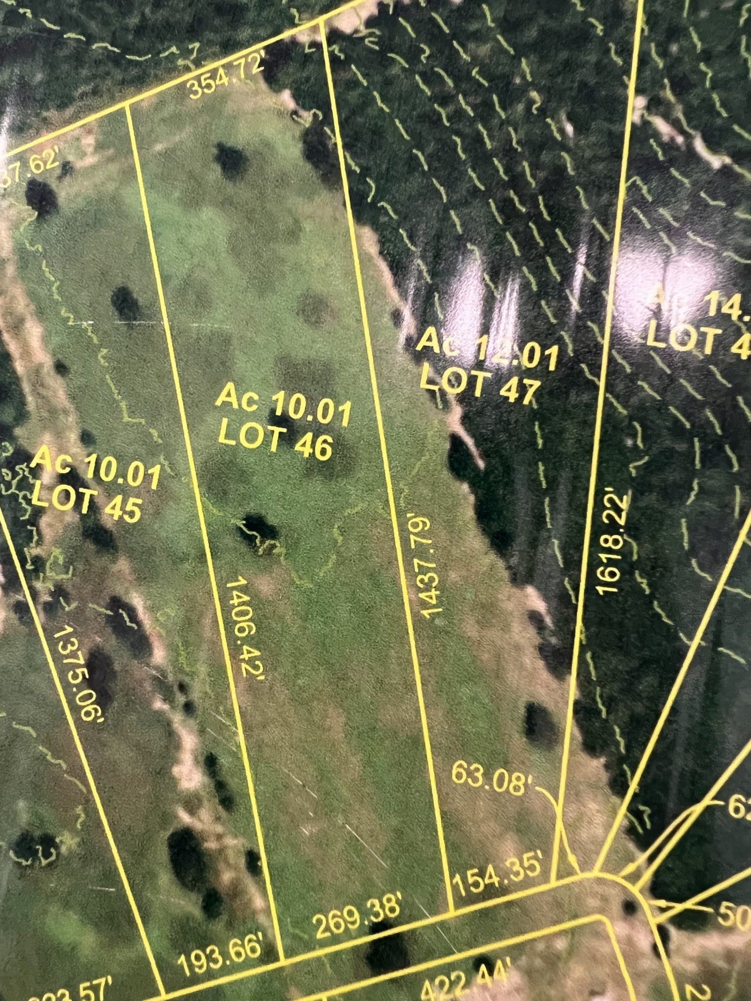 10.01 acres in Leon County - photo 12