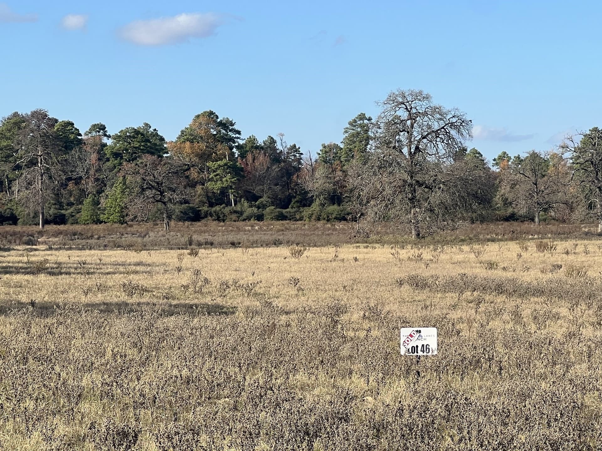 10.01 acres in Leon County gallery image 4
