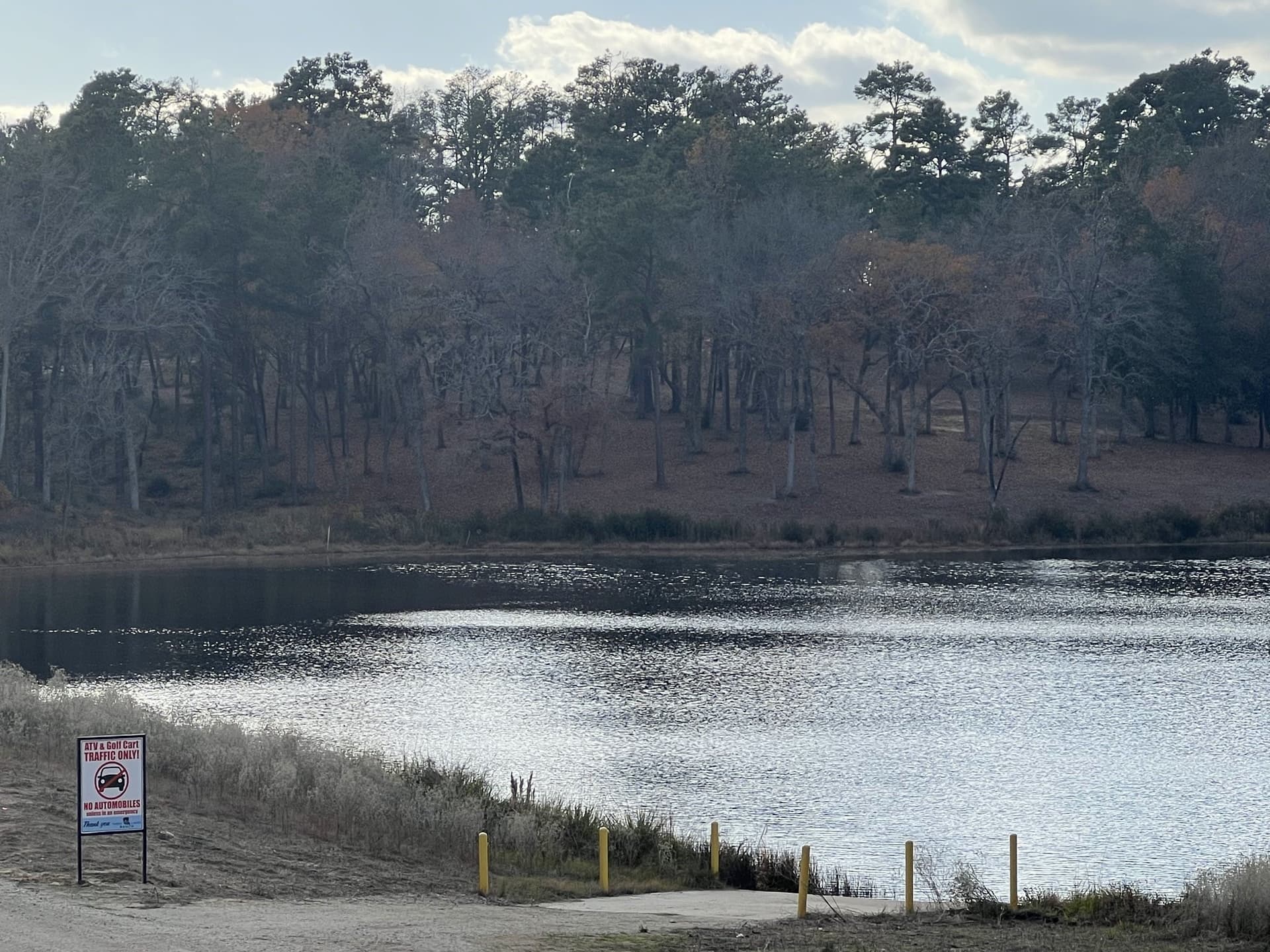 10.01 acres in Leon County - photo 8