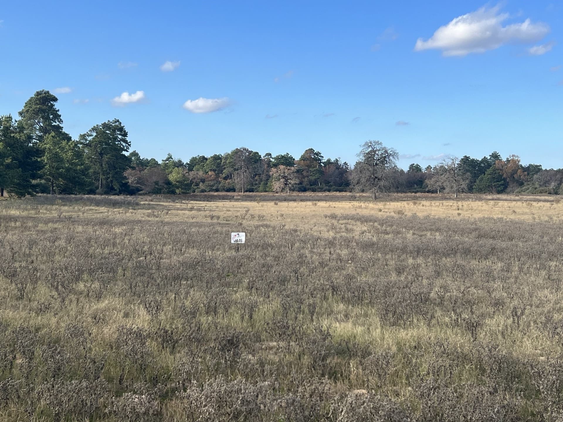 10.01 acres in Leon County featured view