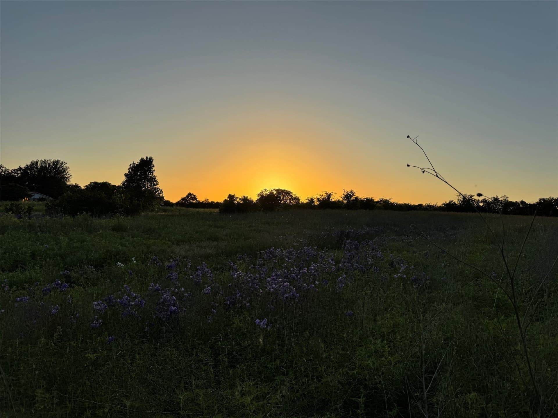 15 acres in Bosque County - photo 2