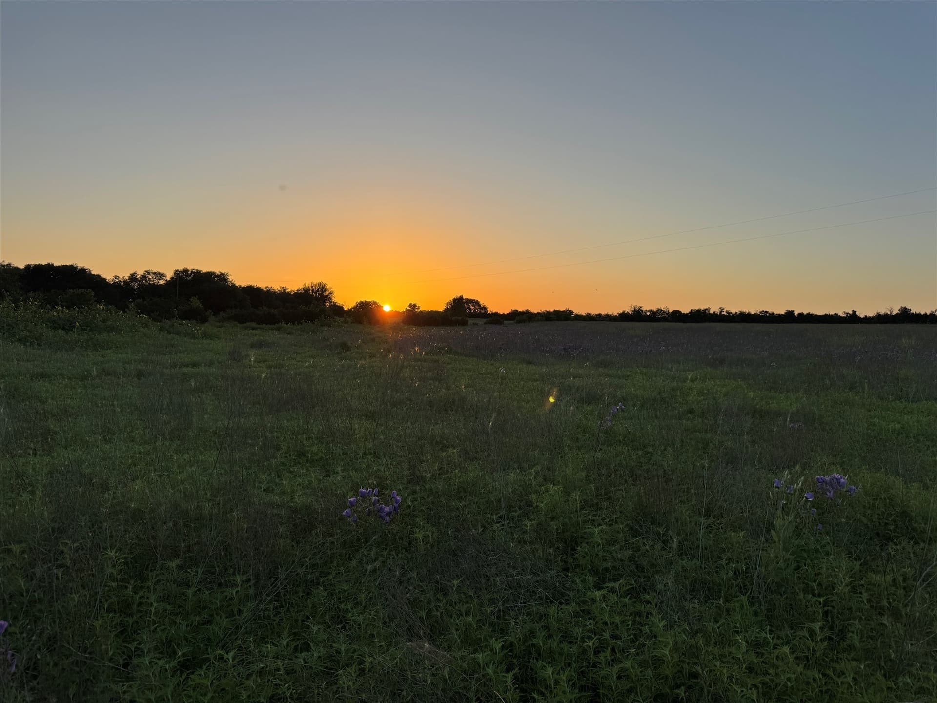 15 acres in Bosque County - photo 13