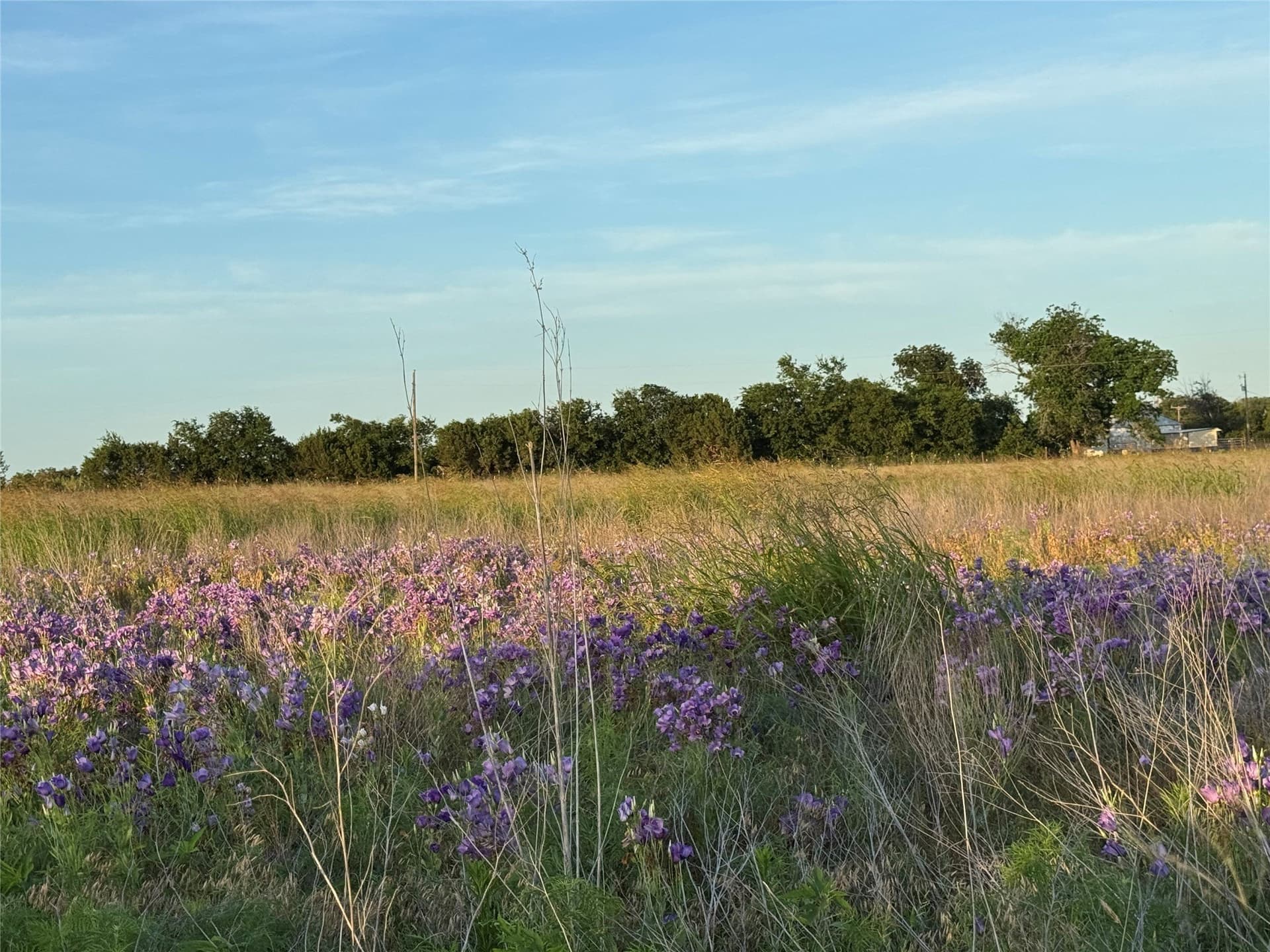 15 acres in Bosque County - photo 14