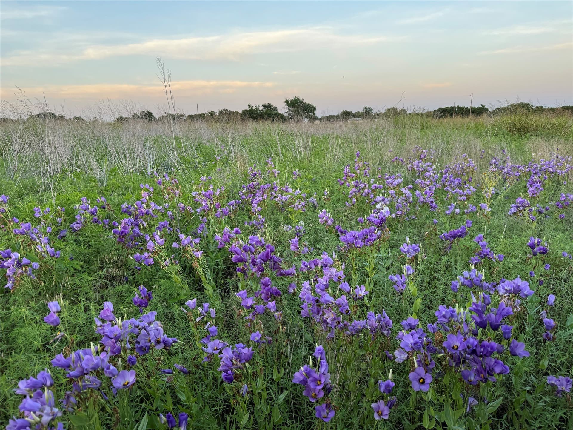 15 acres in Bosque County - photo 15