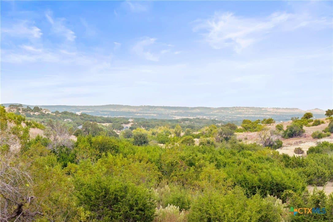 7.66 acres in Blanco County gallery image 4