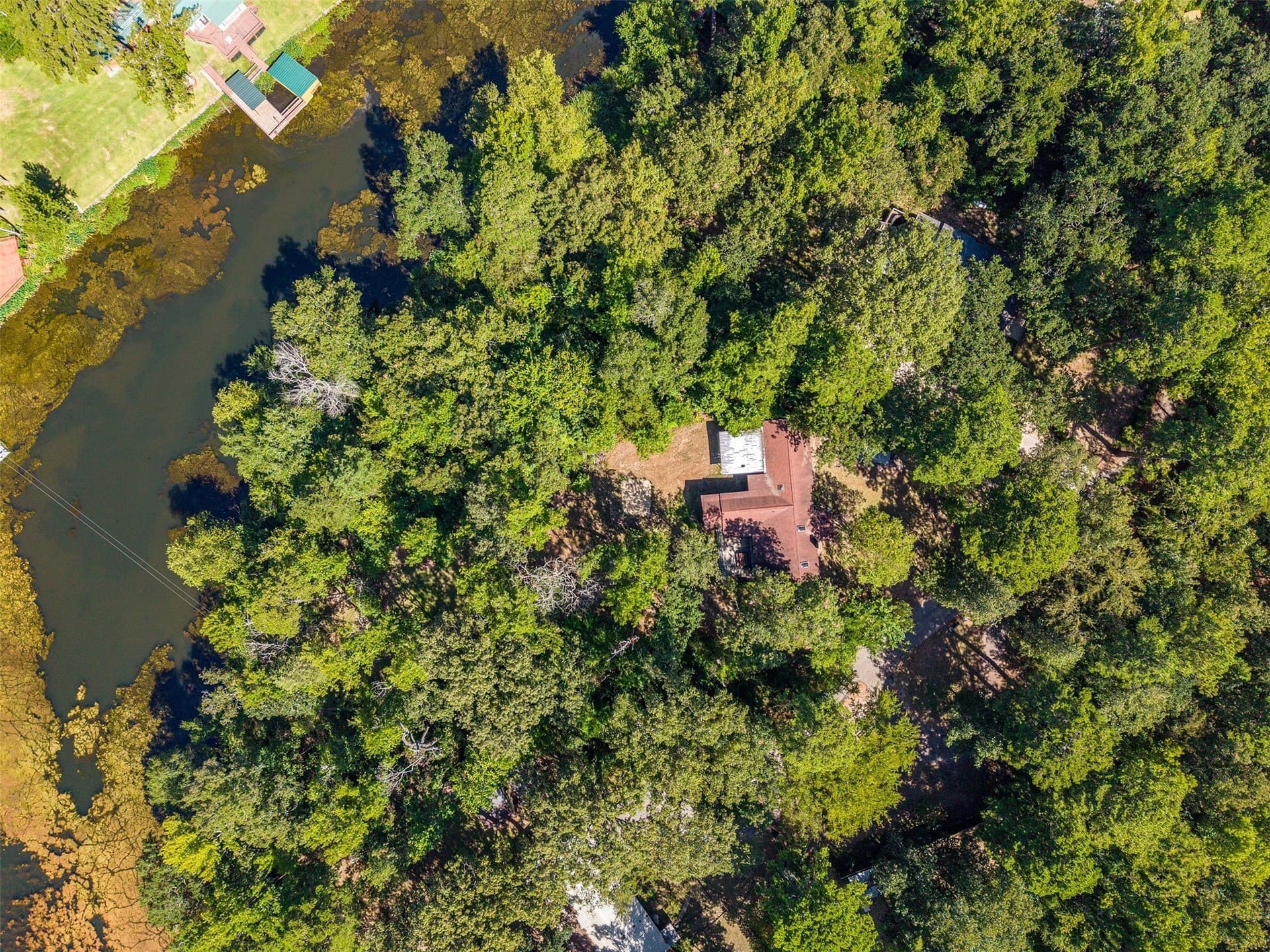40 acres in Smith County - photo 32
