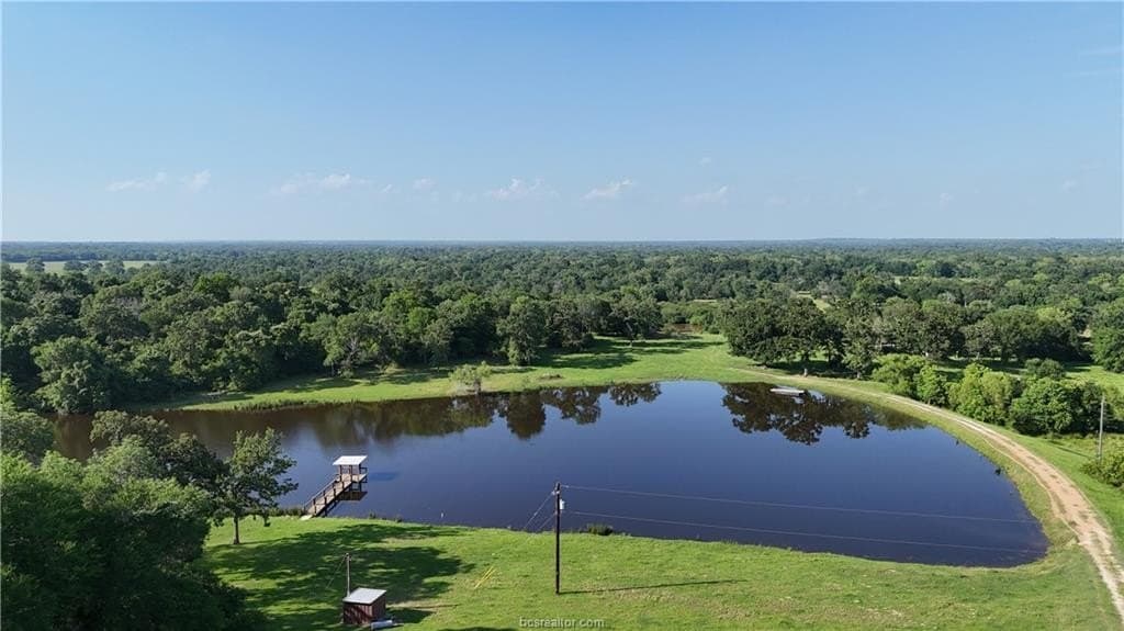 192.37 acres in Brazos County gallery image 4