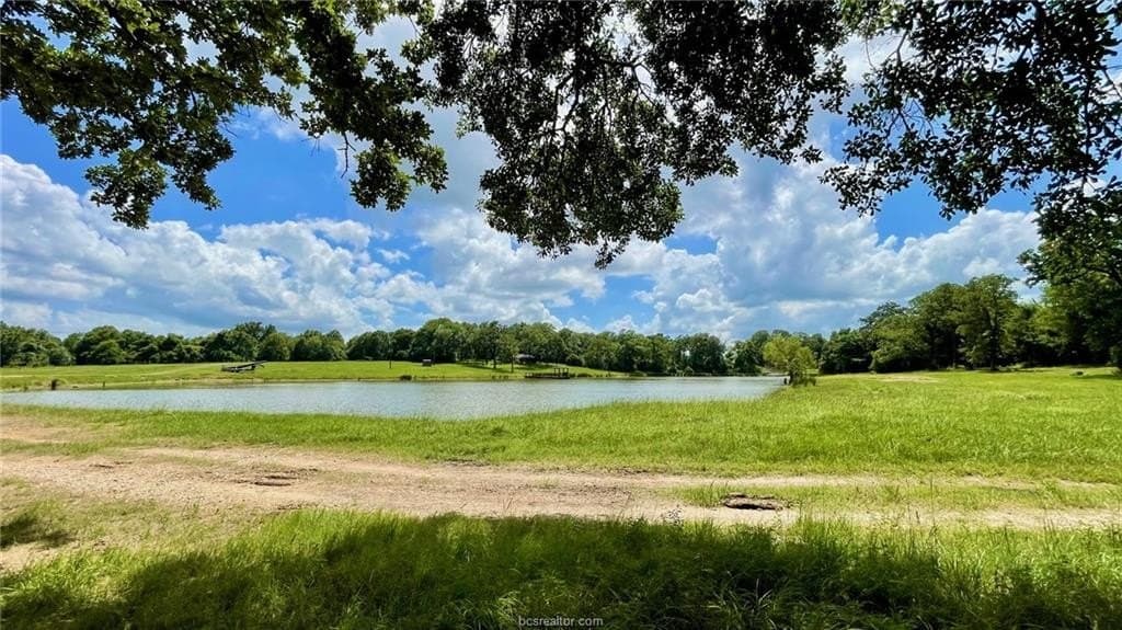 192.37 acres in Brazos County - photo 23