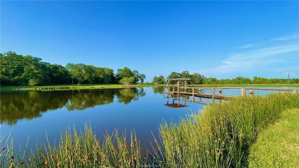 192.37 acres in Brazos County - photo 15