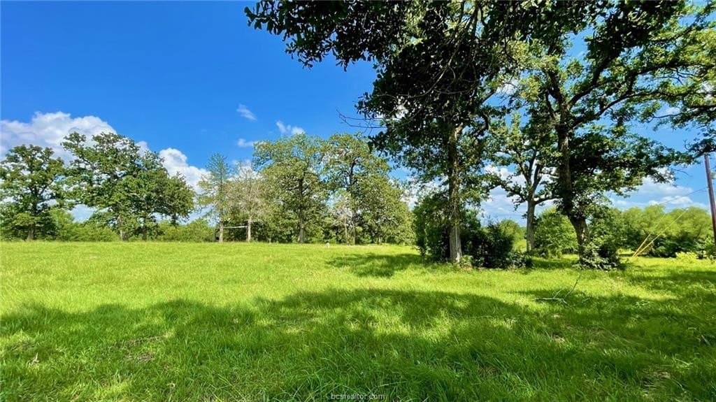 192.37 acres in Brazos County - photo 21