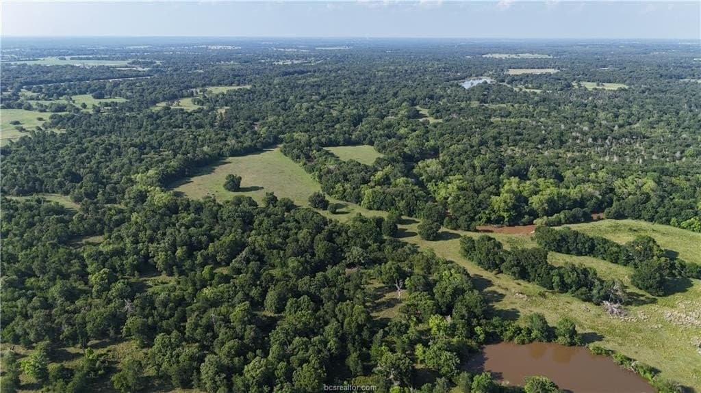 192.37 acres in Brazos County - photo 26