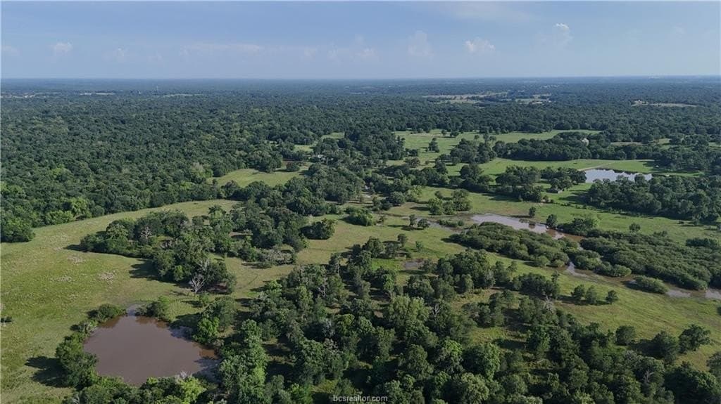 192.37 acres in Brazos County - photo 25