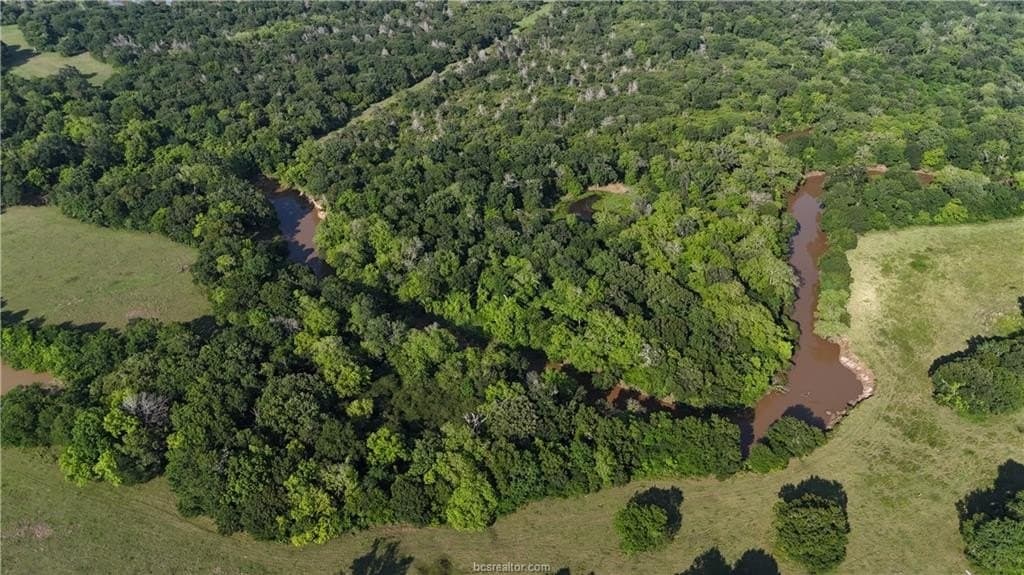 192.37 acres in Brazos County - photo 27
