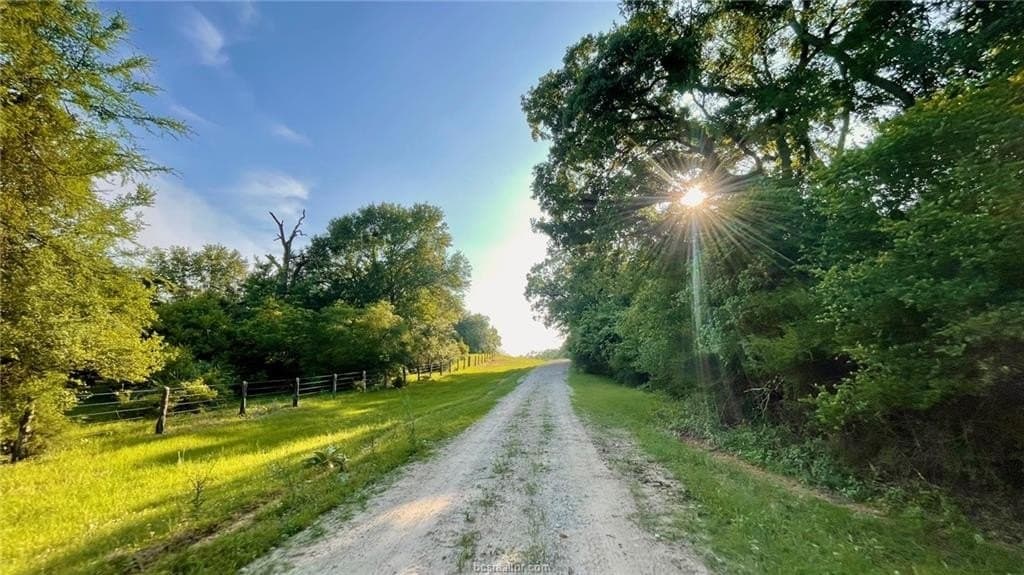 192.37 acres in Brazos County gallery image 3