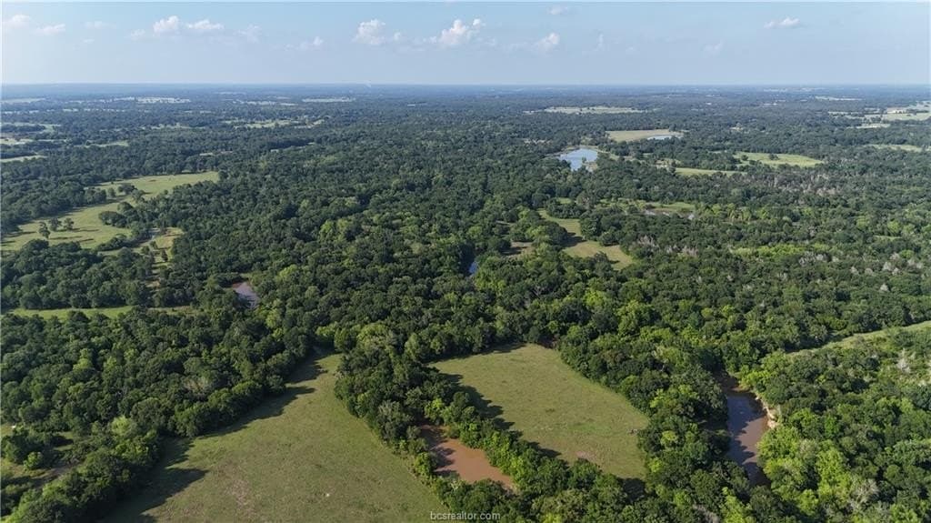 192.37 acres in Brazos County gallery image 2