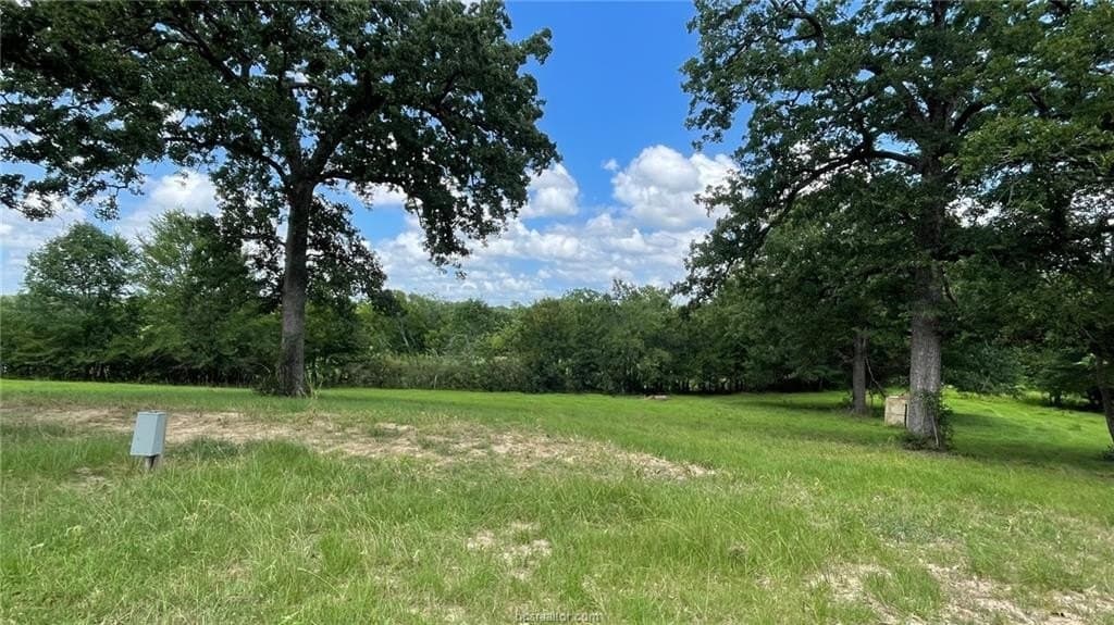 192.37 acres in Brazos County - photo 20