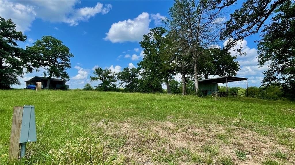 192.37 acres in Brazos County - photo 19
