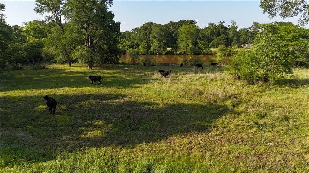 192.37 acres in Brazos County - photo 24