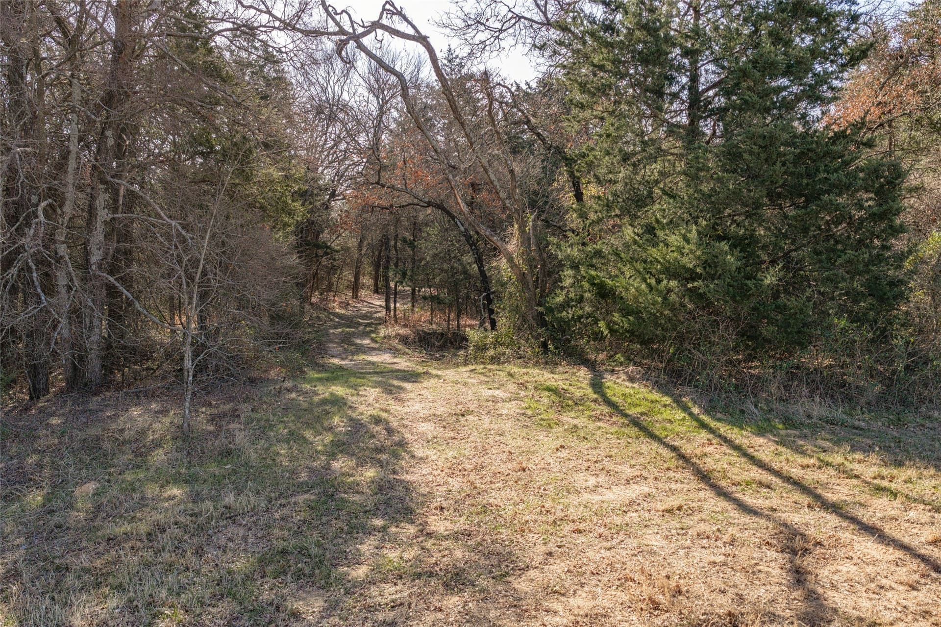 114.76 acres in Cooke County - photo 9