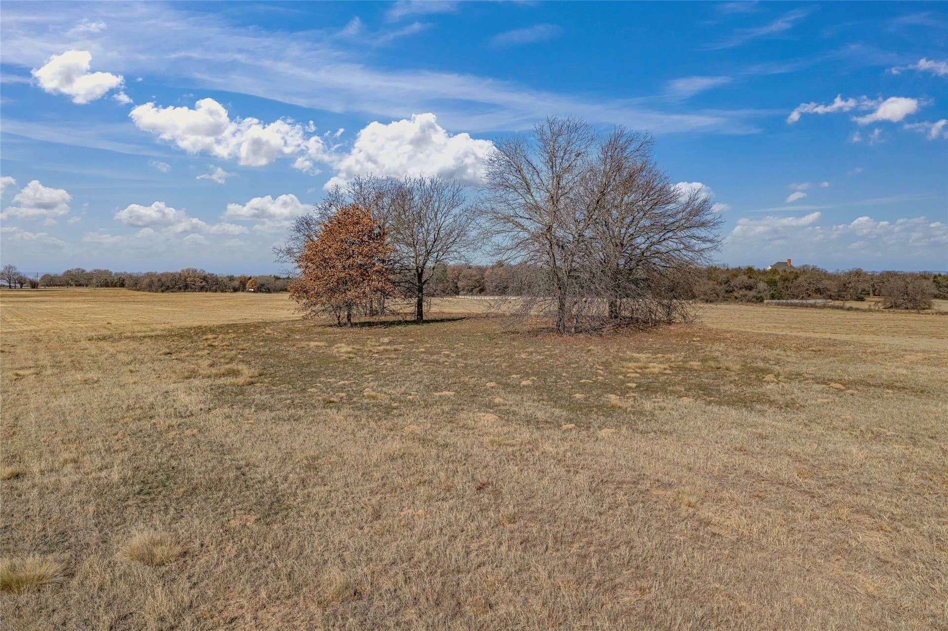 114.76 acres in Cooke County - photo 11