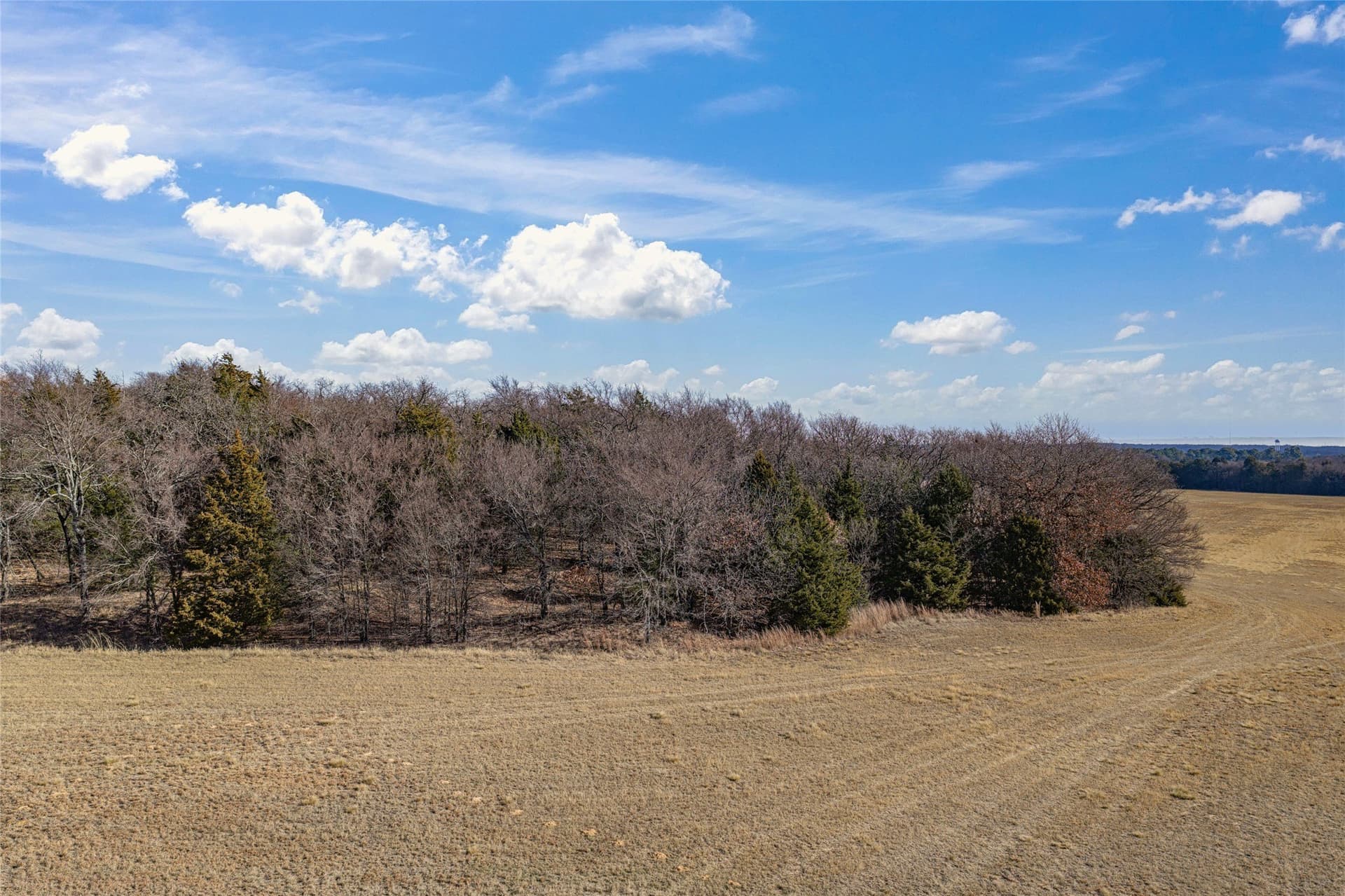 114.76 acres in Cooke County - photo 31
