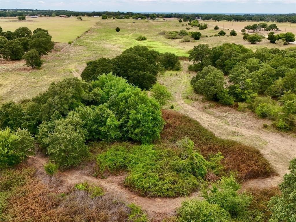 20 acres in Montague County gallery image 2