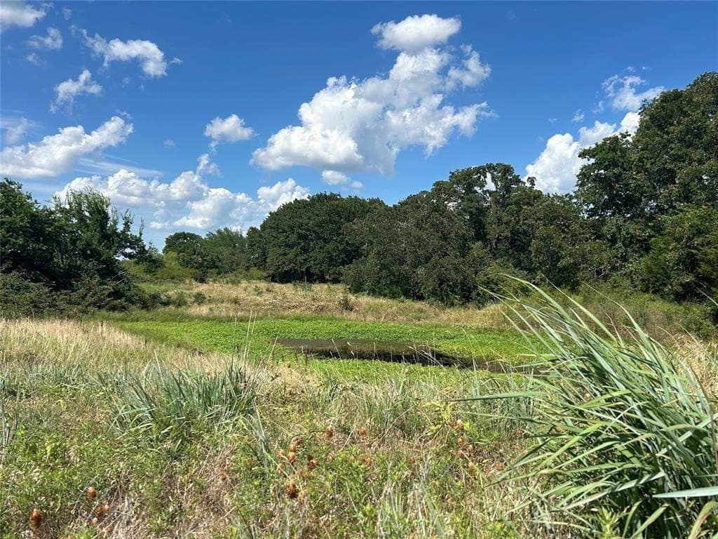 20 acres in Montague County featured view