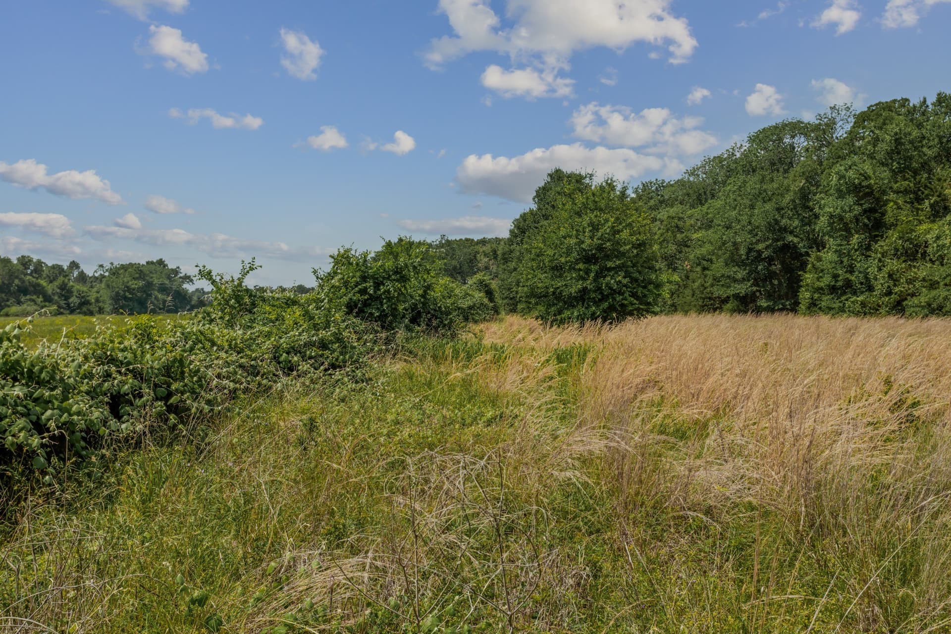 47.26 acres in Kaufman County - photo 24