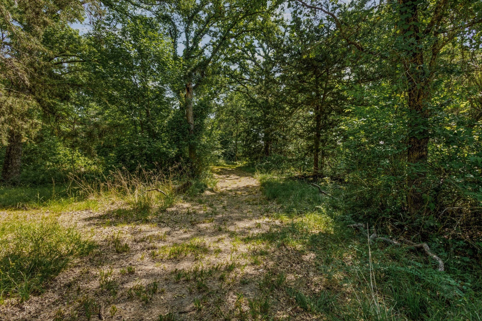 47.26 acres in Kaufman County - photo 22