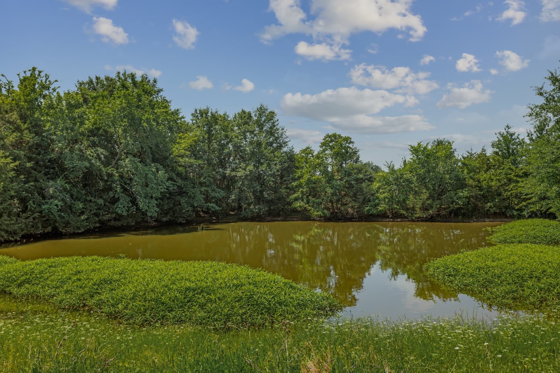 47.26 acres in Kaufman County - photo 9