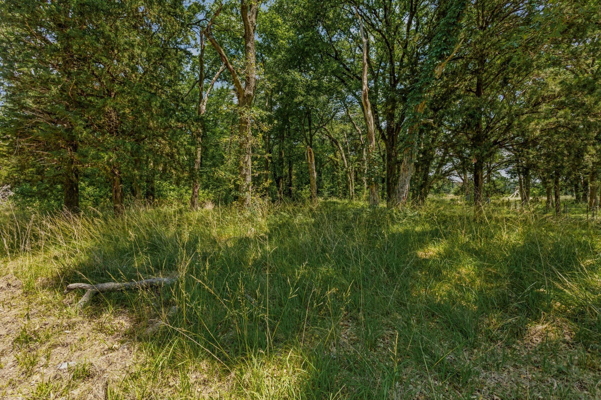 47.26 acres in Kaufman County - photo 25