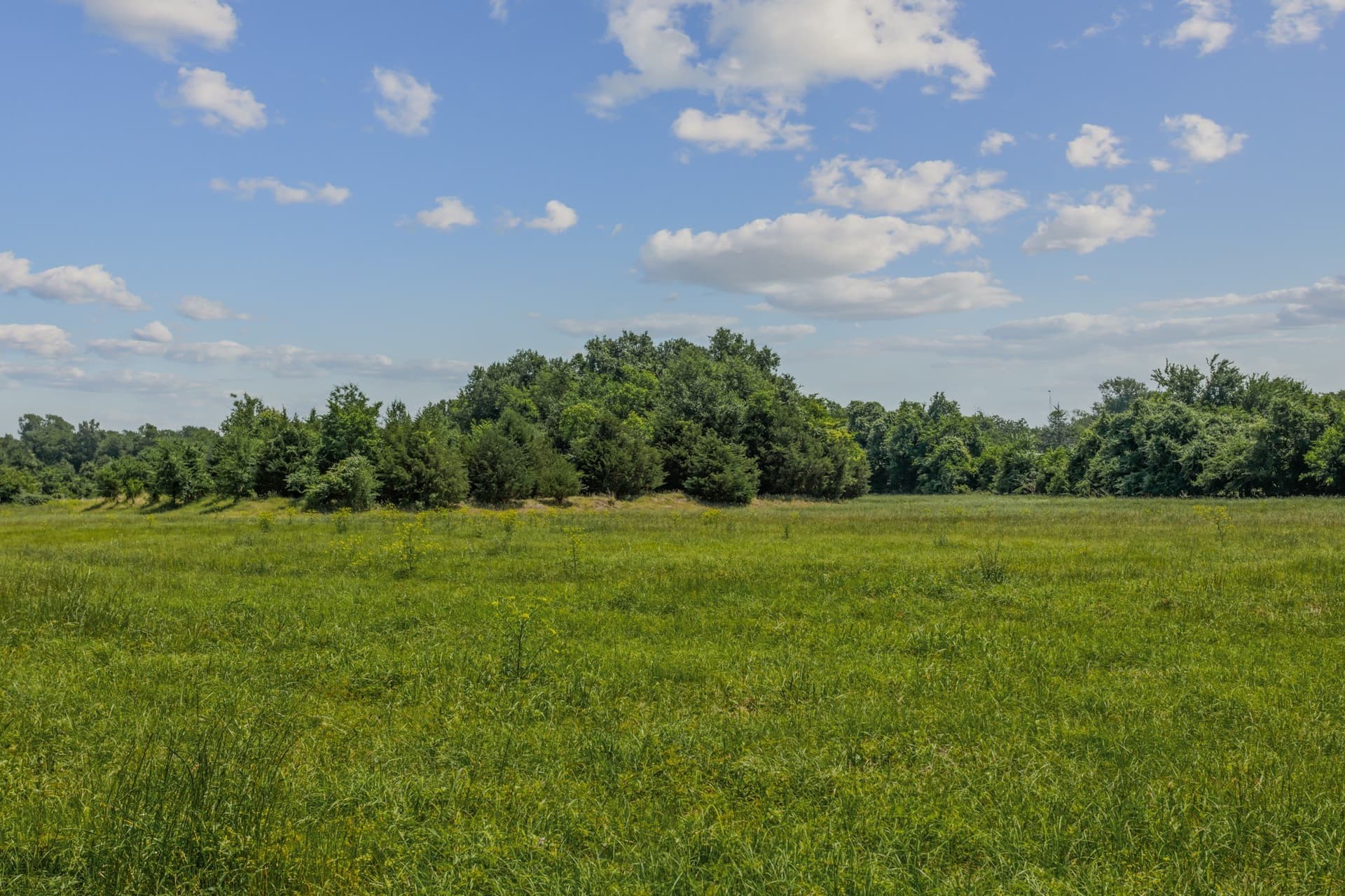 47.26 acres in Kaufman County - photo 6