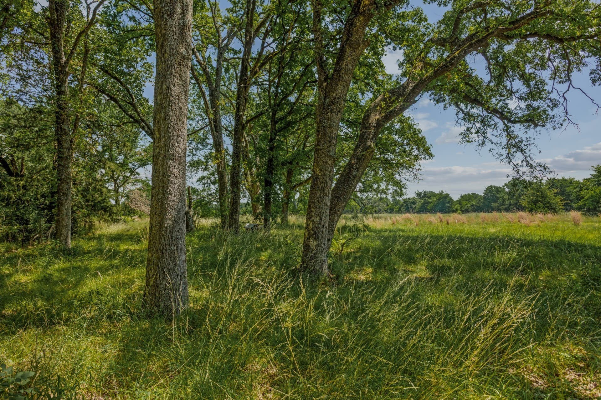 47.26 acres in Kaufman County - photo 14