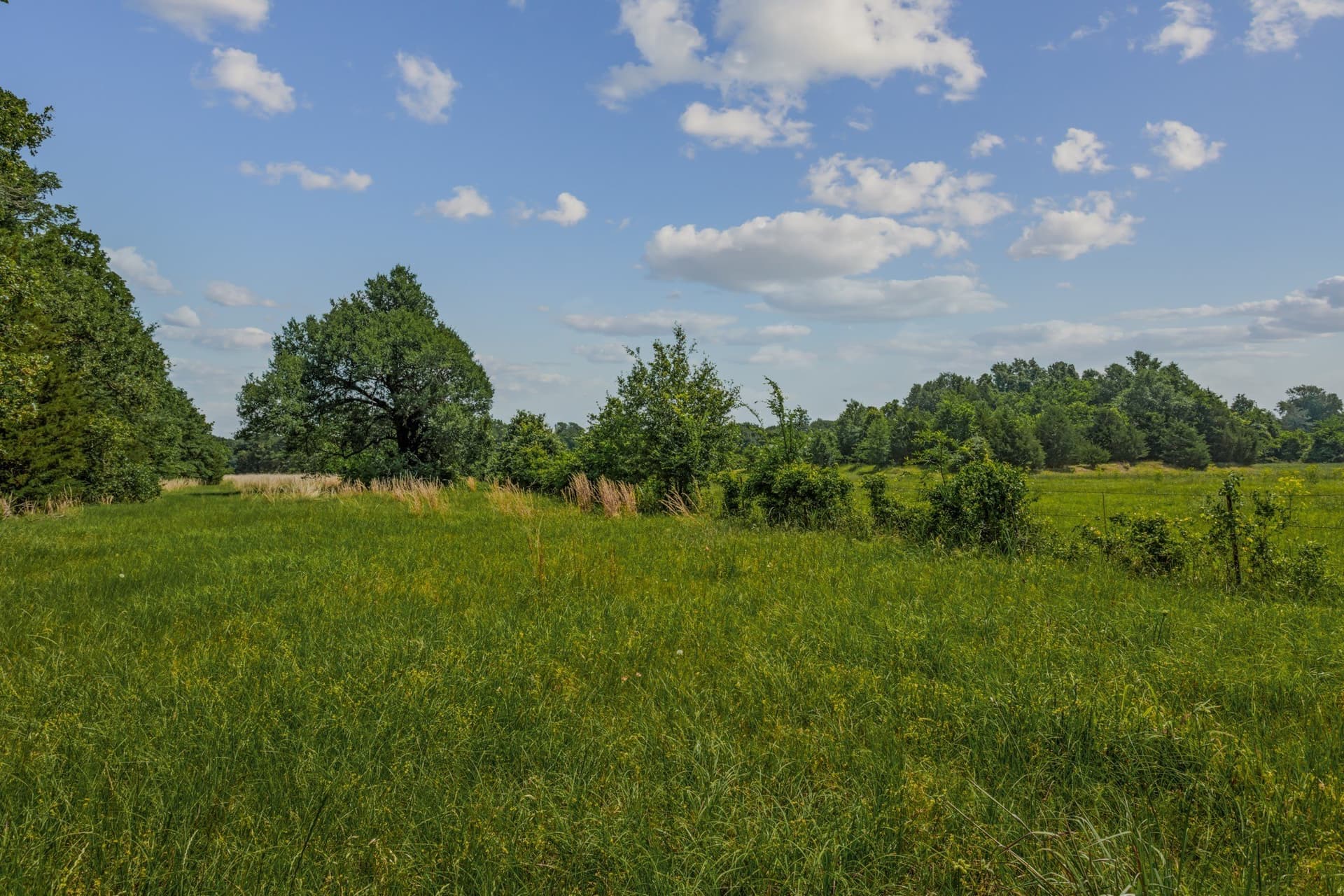 47.26 acres in Kaufman County - photo 23