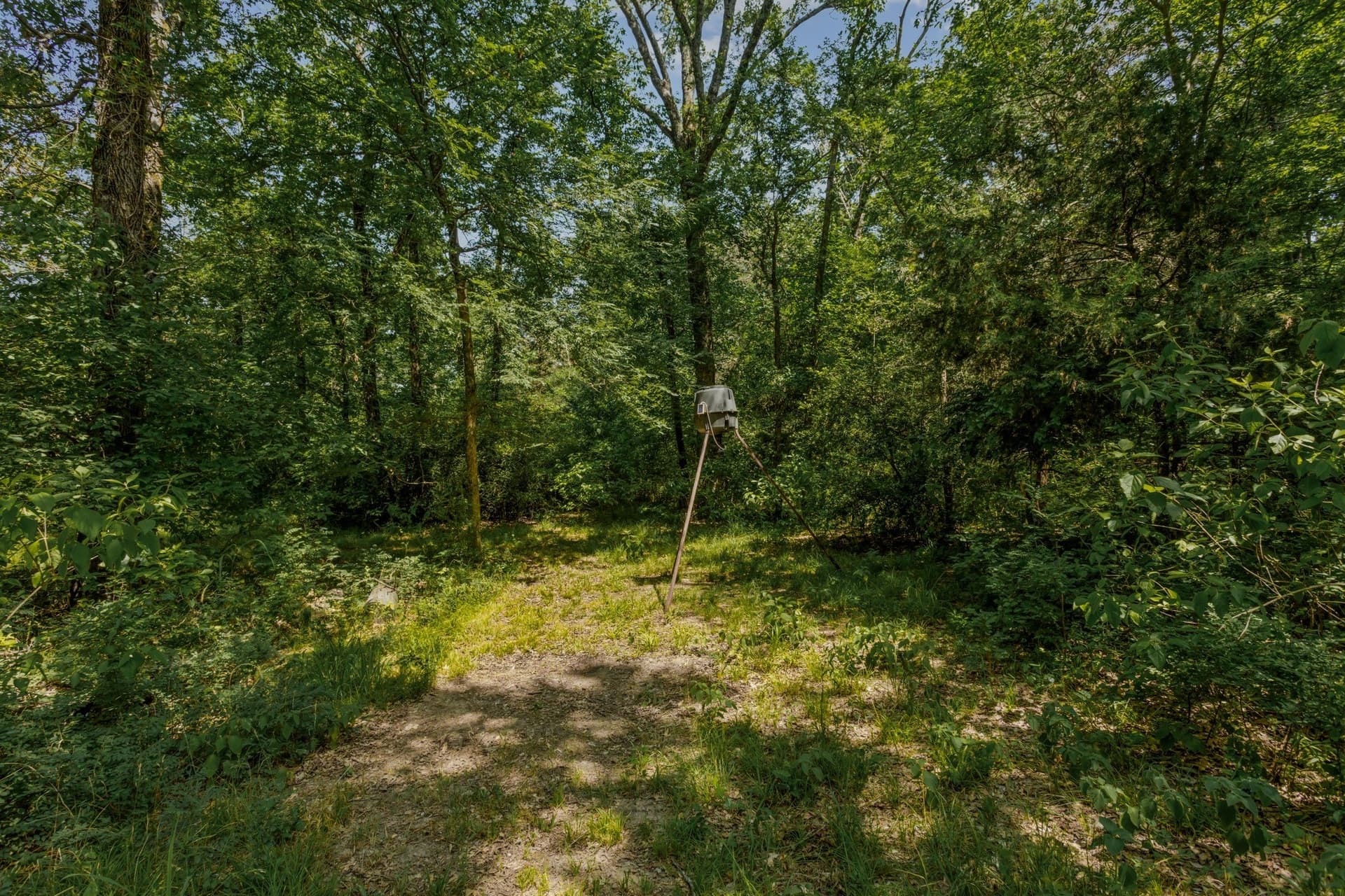47.26 acres in Kaufman County - photo 11