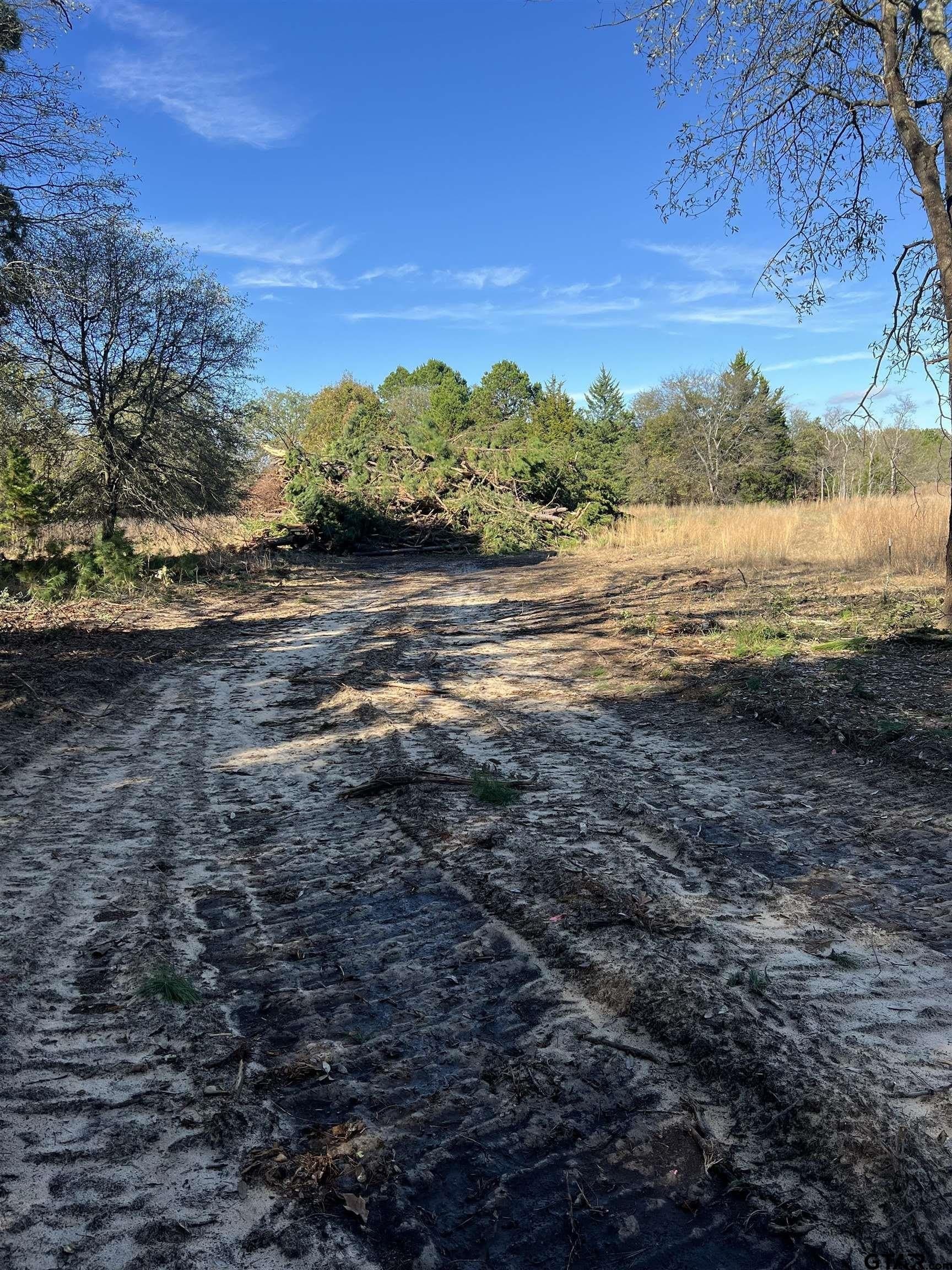 2.74 acres in Smith County - photo 8