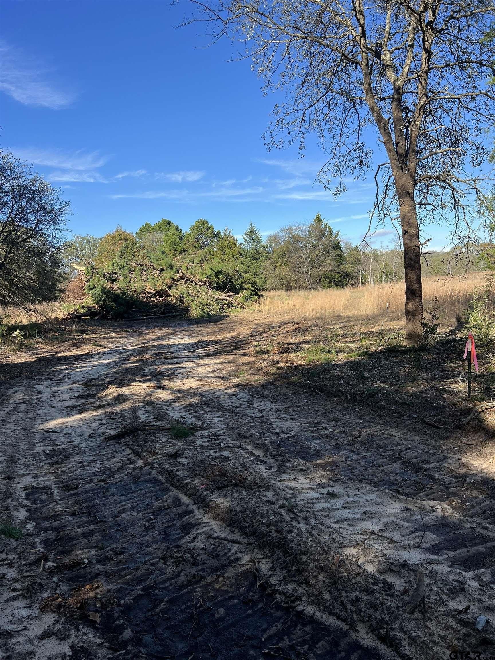 2.74 acres in Smith County - photo 7