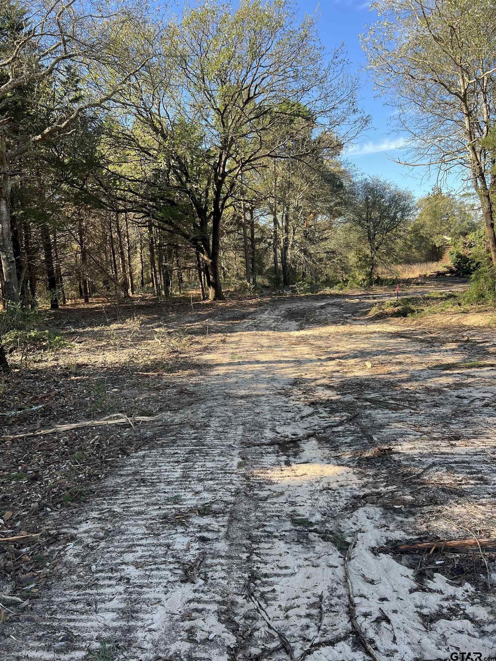 2.74 acres in Smith County - photo 6