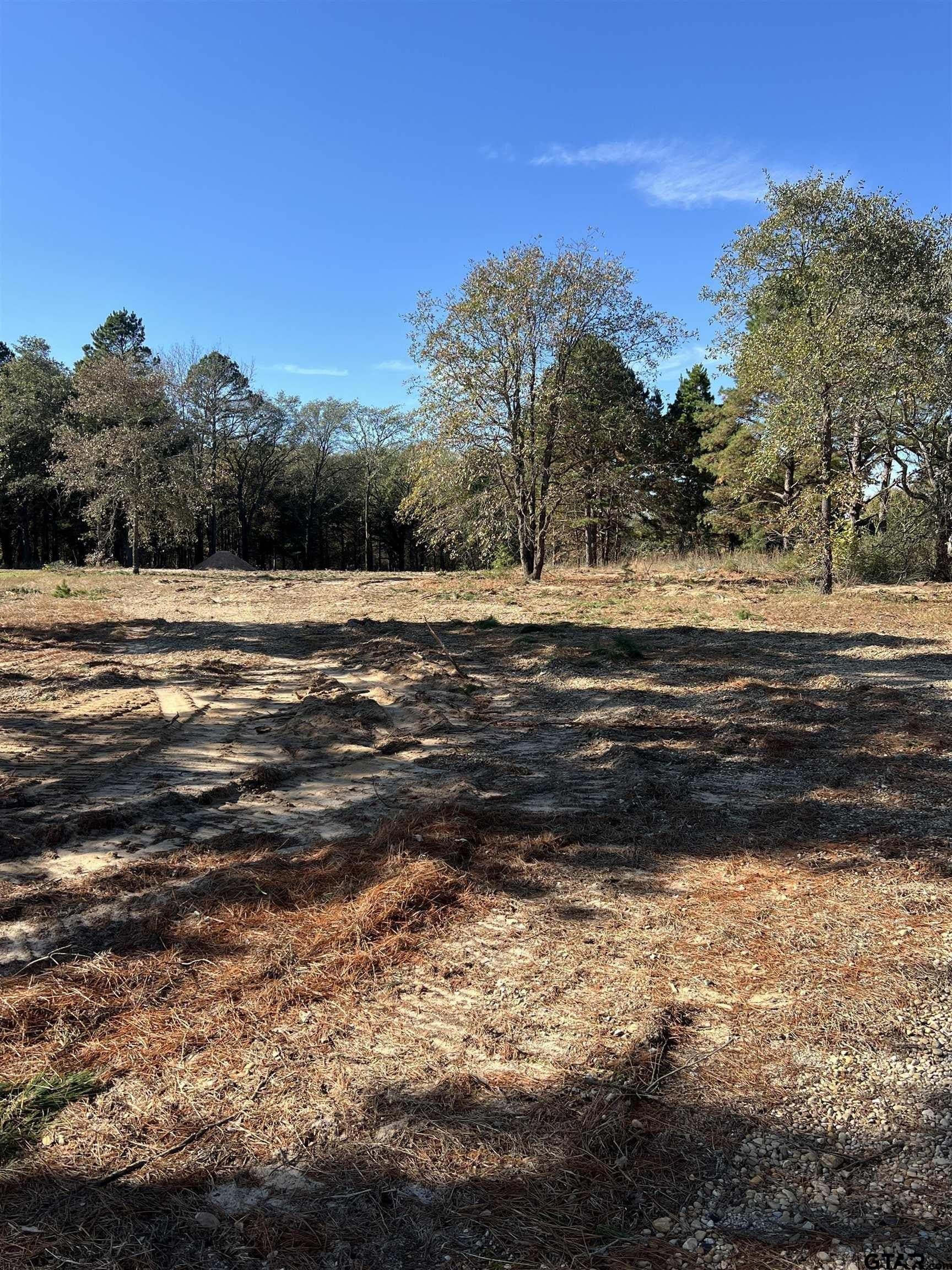 2.74 acres in Smith County - photo 4