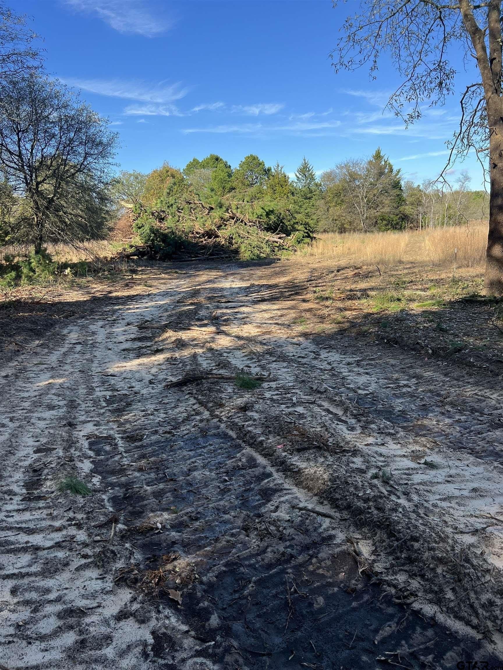 2.74 acres in Smith County - photo 10