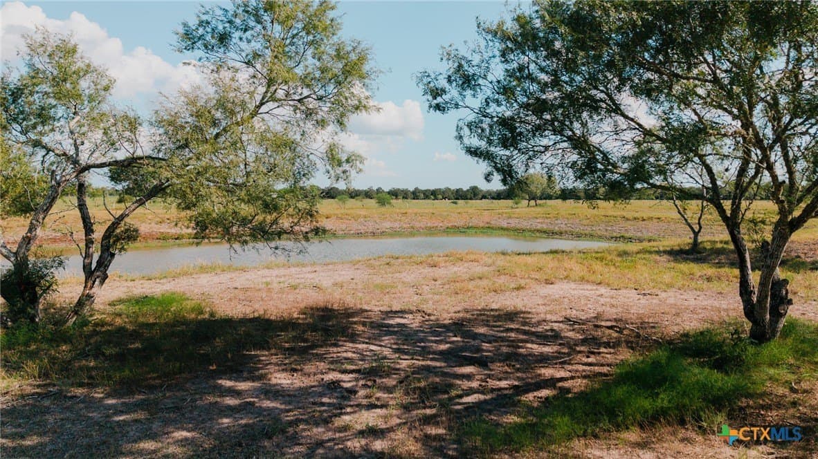 11 acres in Lavaca County gallery image 3