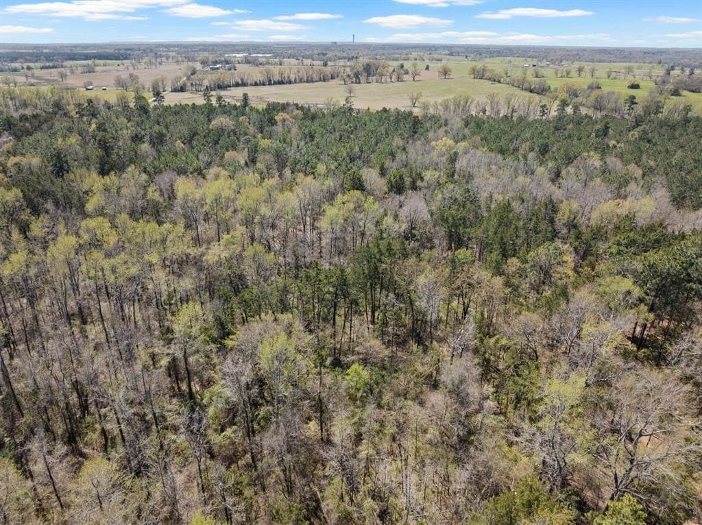 5.65 acres in Titus County featured view