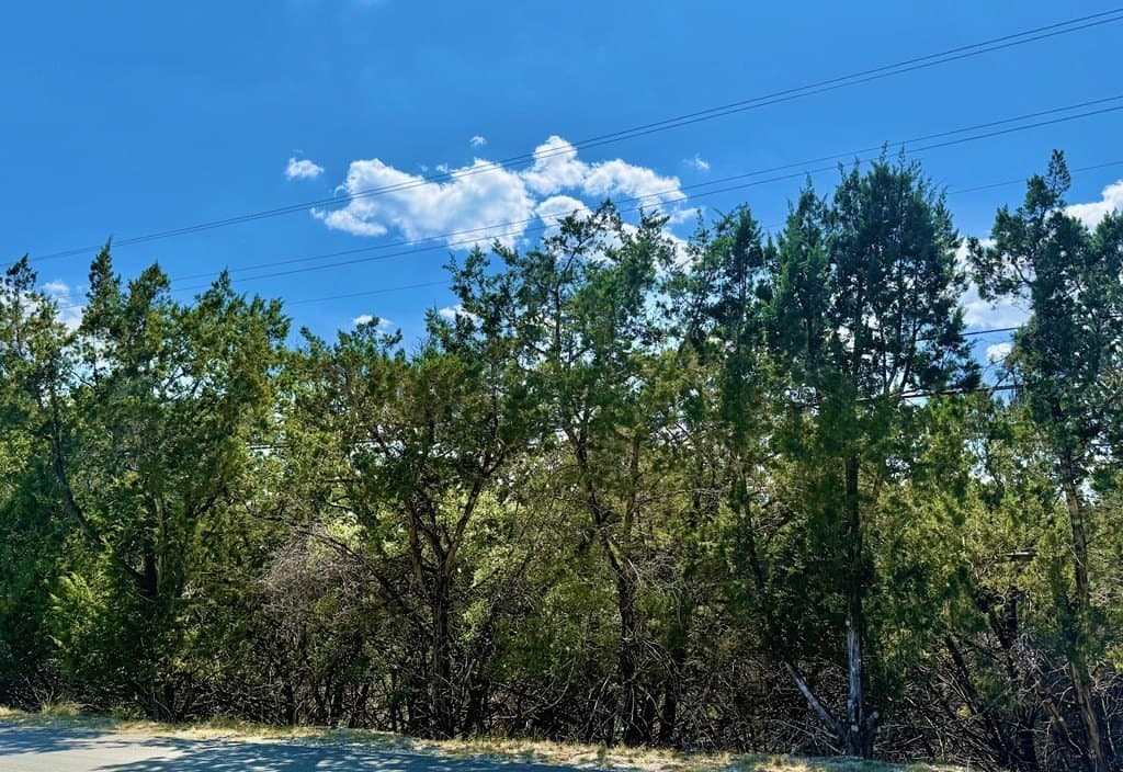 0.31 acres in Kerr County gallery image 4